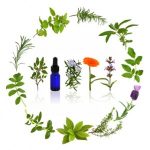 Can Herbs Cure Anxiety? (podcast)